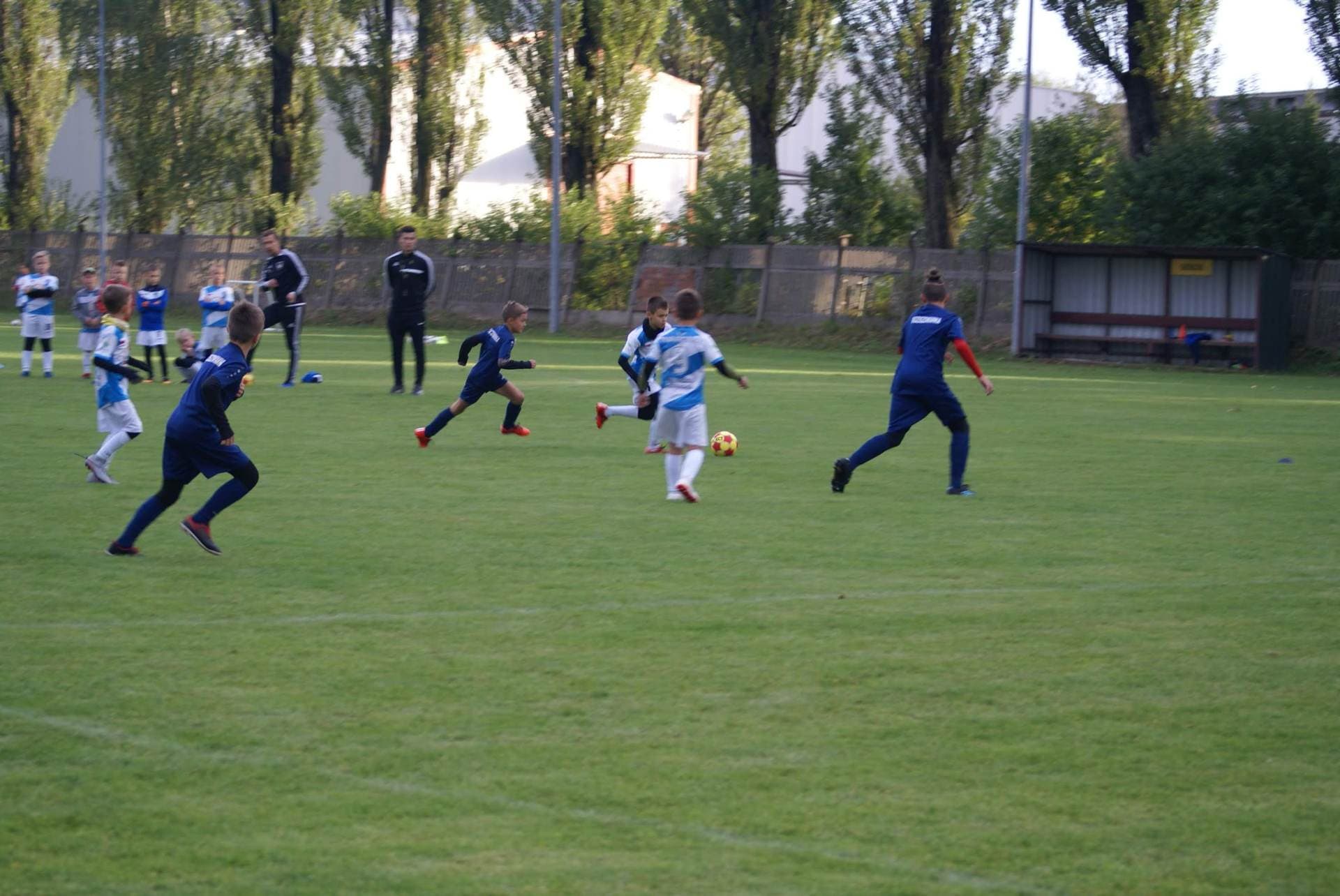 Orliki: Milenium Skawina - AP Radziszowianka — zdjęcie 29