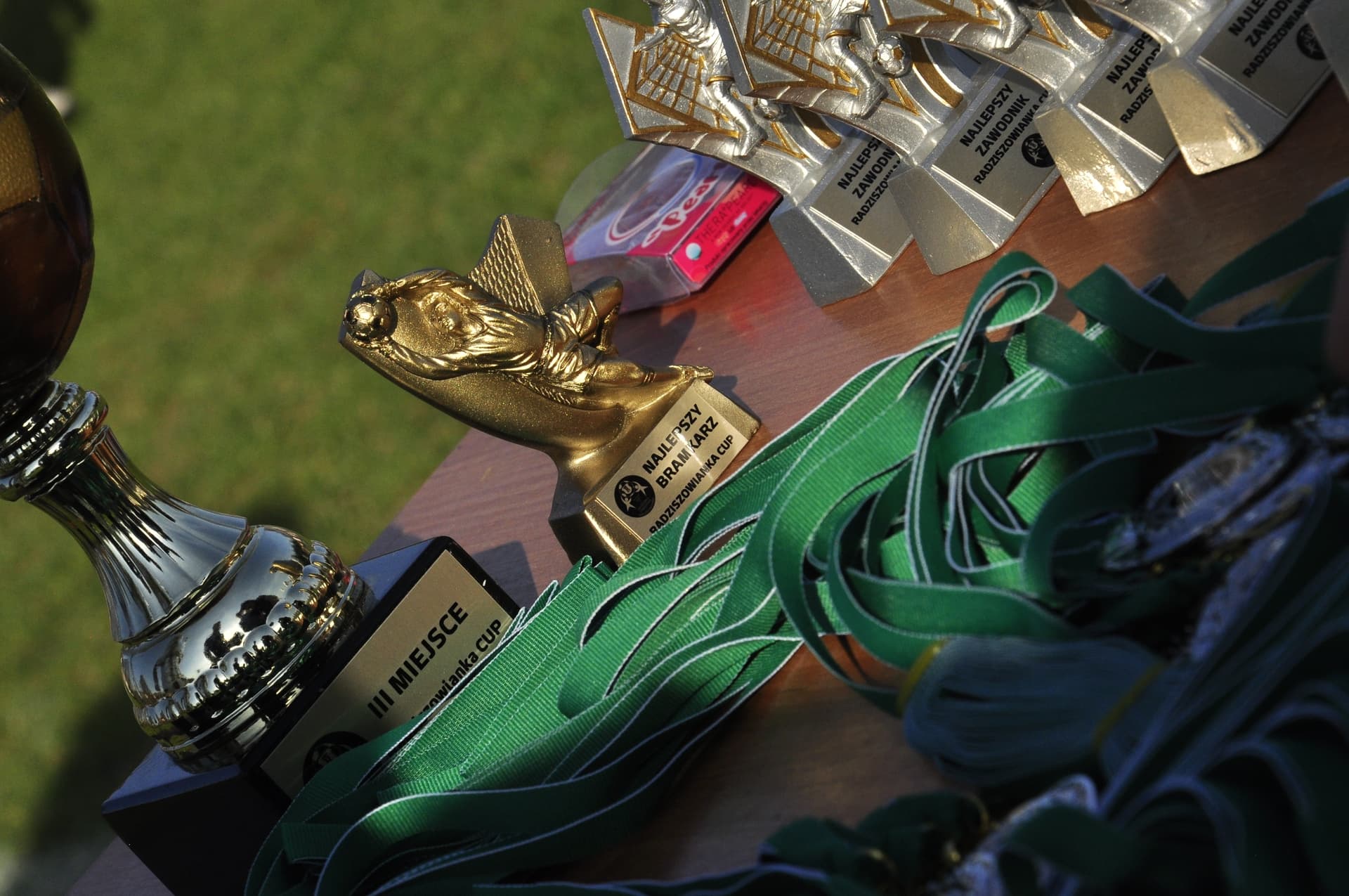 Turniej Piłkarski dla rocznika 2012 - RADZISZOWIANKA CUP I EDYCJA. Fotorelacja. — zdjęcie 626