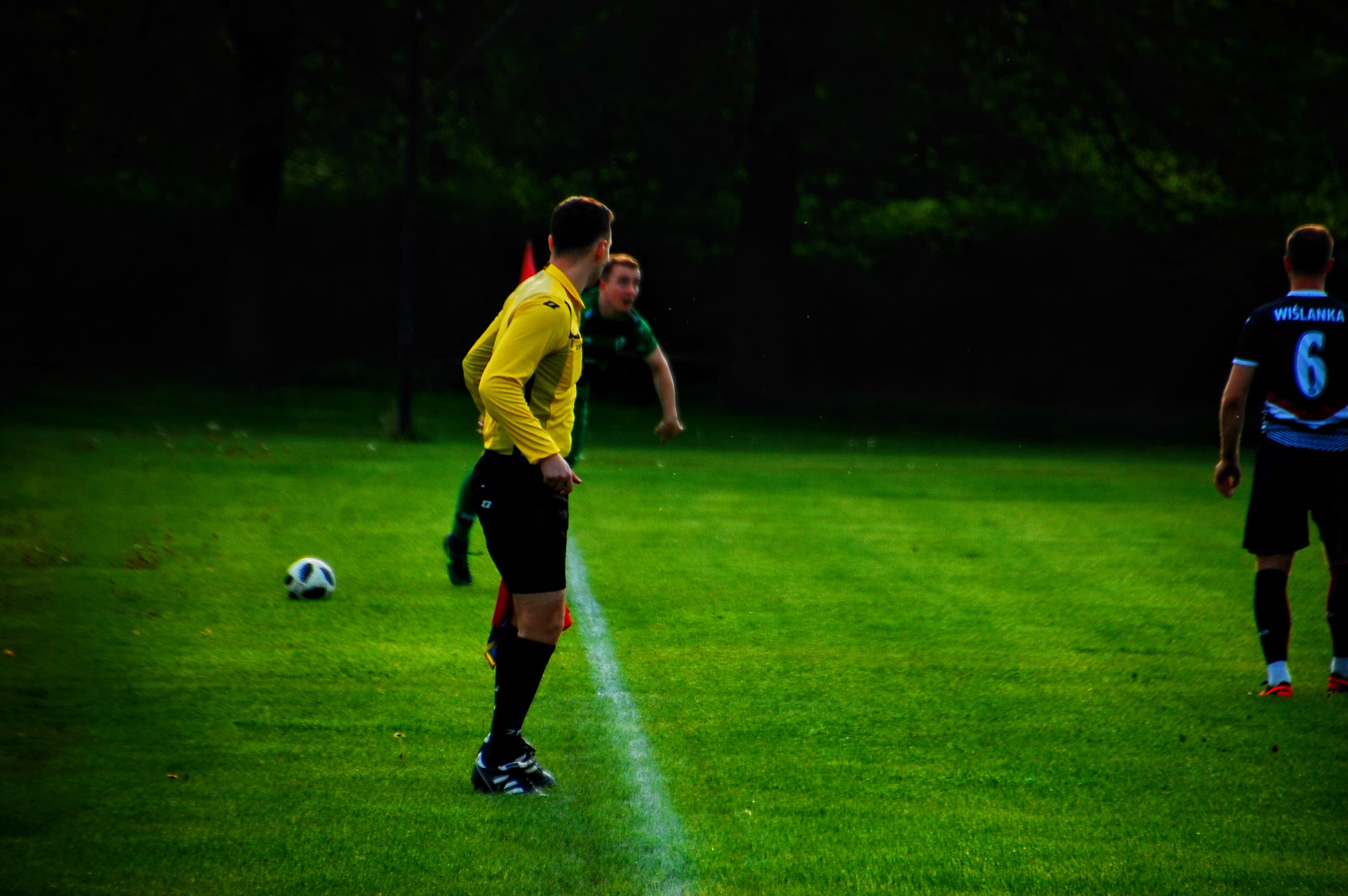 RADZISZOWIANKA  - WIŚLANKA GRABIE 1:1 — zdjęcie 106