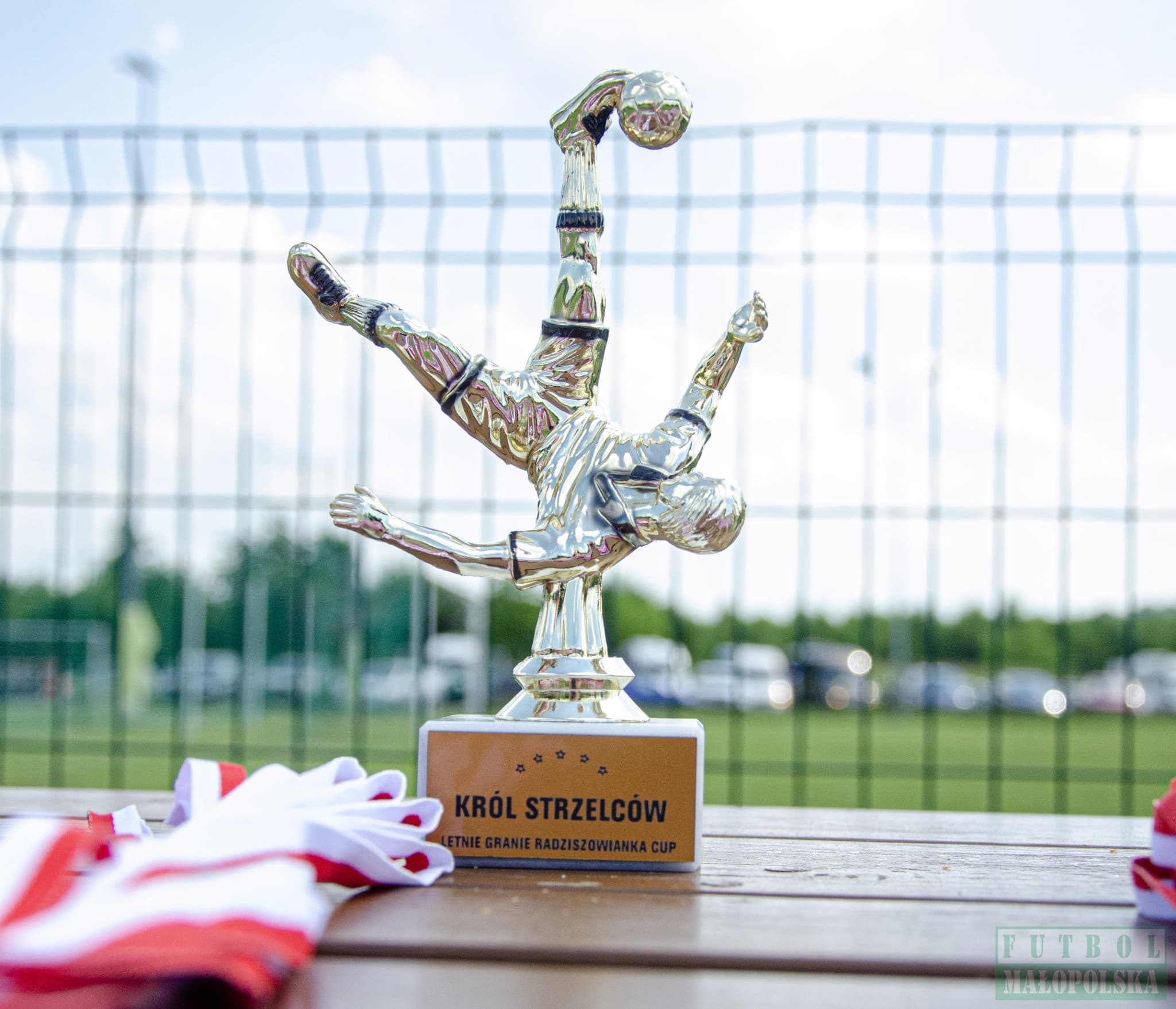 Radziszowianka Cup dla rocznika 2008 - piłkarski maraton w Radziszowie (foto) — zdjęcie 231